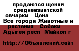продаются щенки среднеазиатской овчарки › Цена ­ 30 000 - Все города Животные и растения » Собаки   . Адыгея респ.,Майкоп г.
